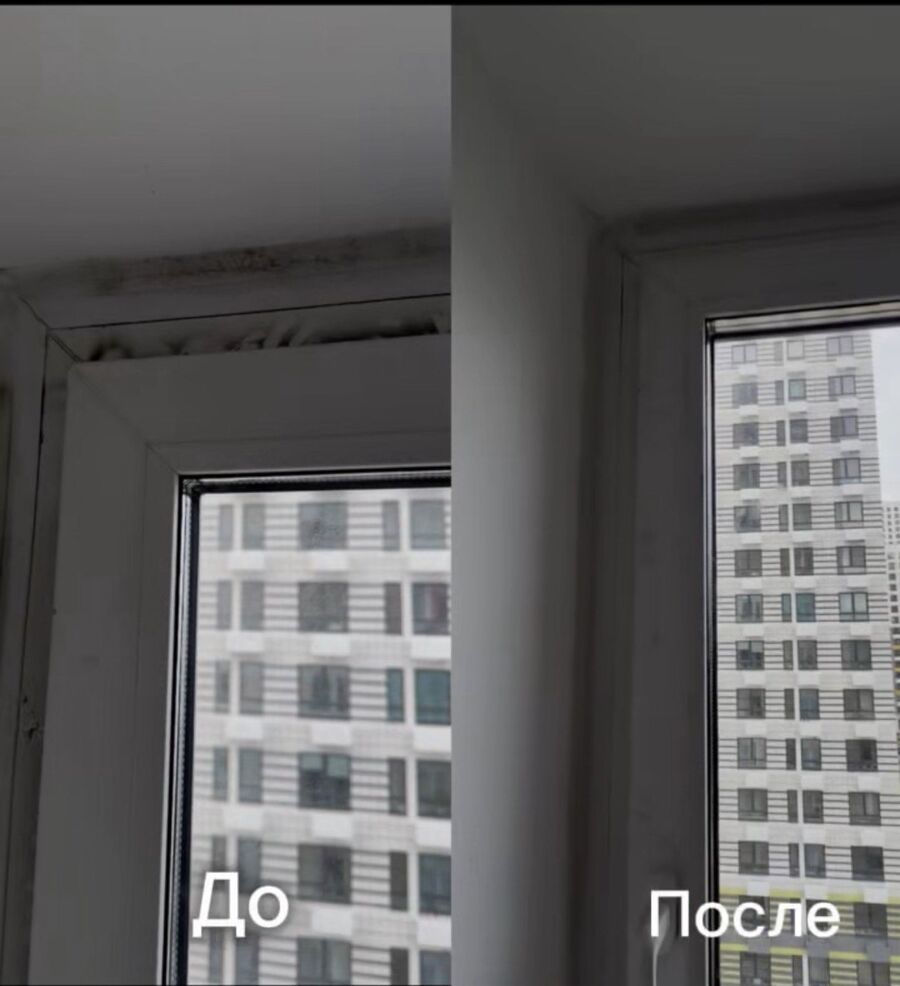 Окно до и после замены уплотнителя и устранения плесени